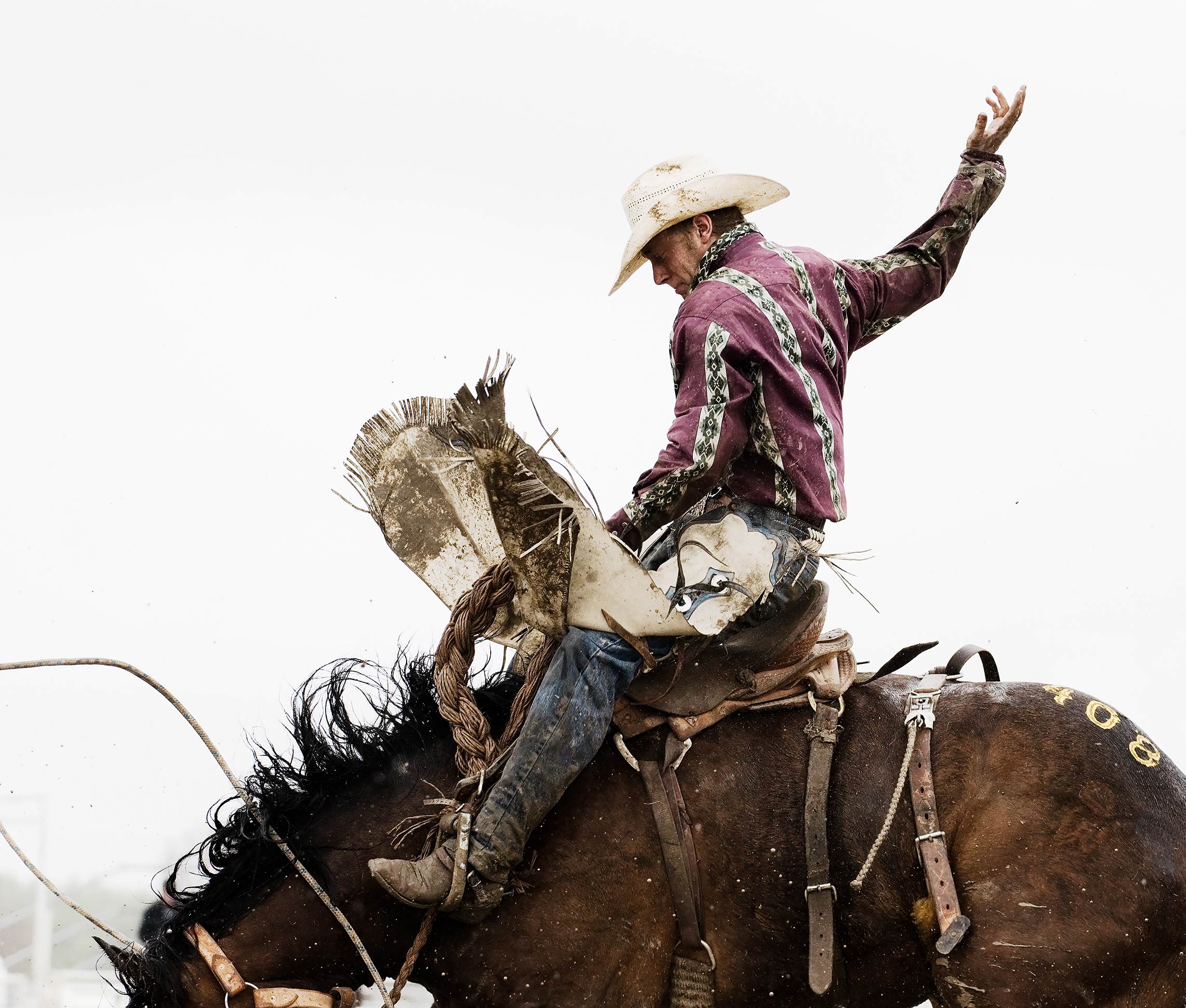 Cowboy on a Bucking Horse
