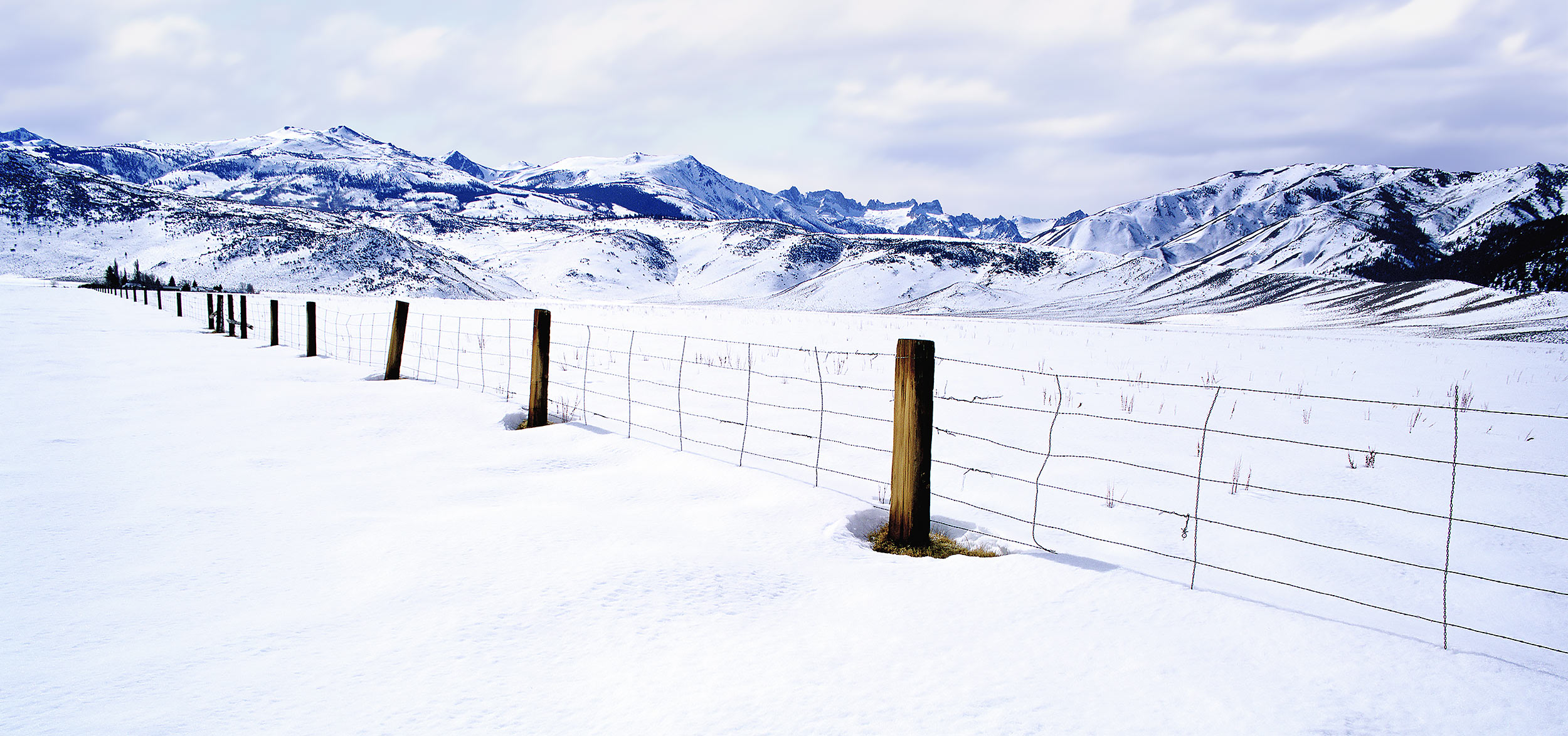 Ranch fence in Snowscape in Bridgeport, California