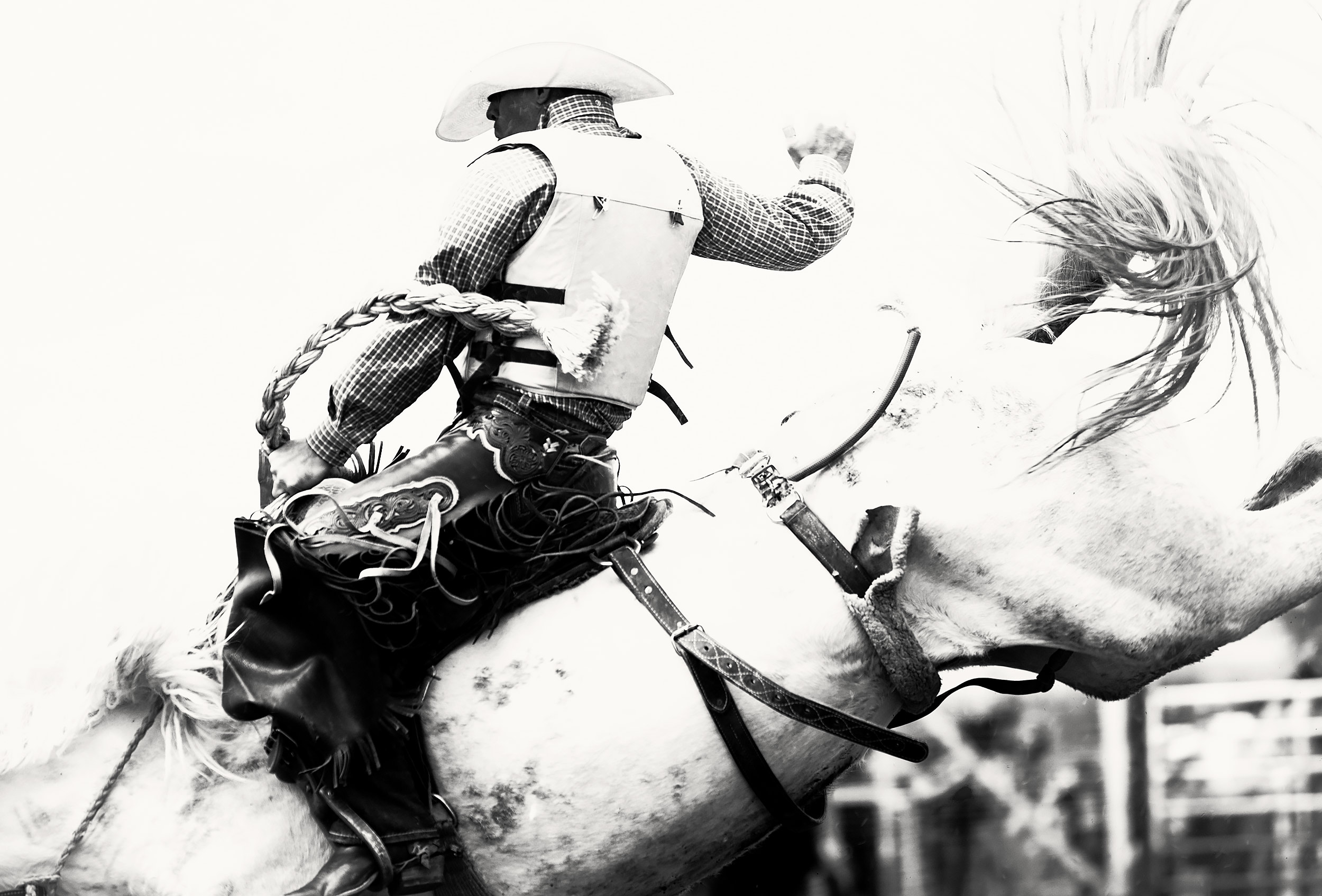 Black and white image of a cowboy riding a bronco at the Bucking Horse Sale in Miles City, Montana
