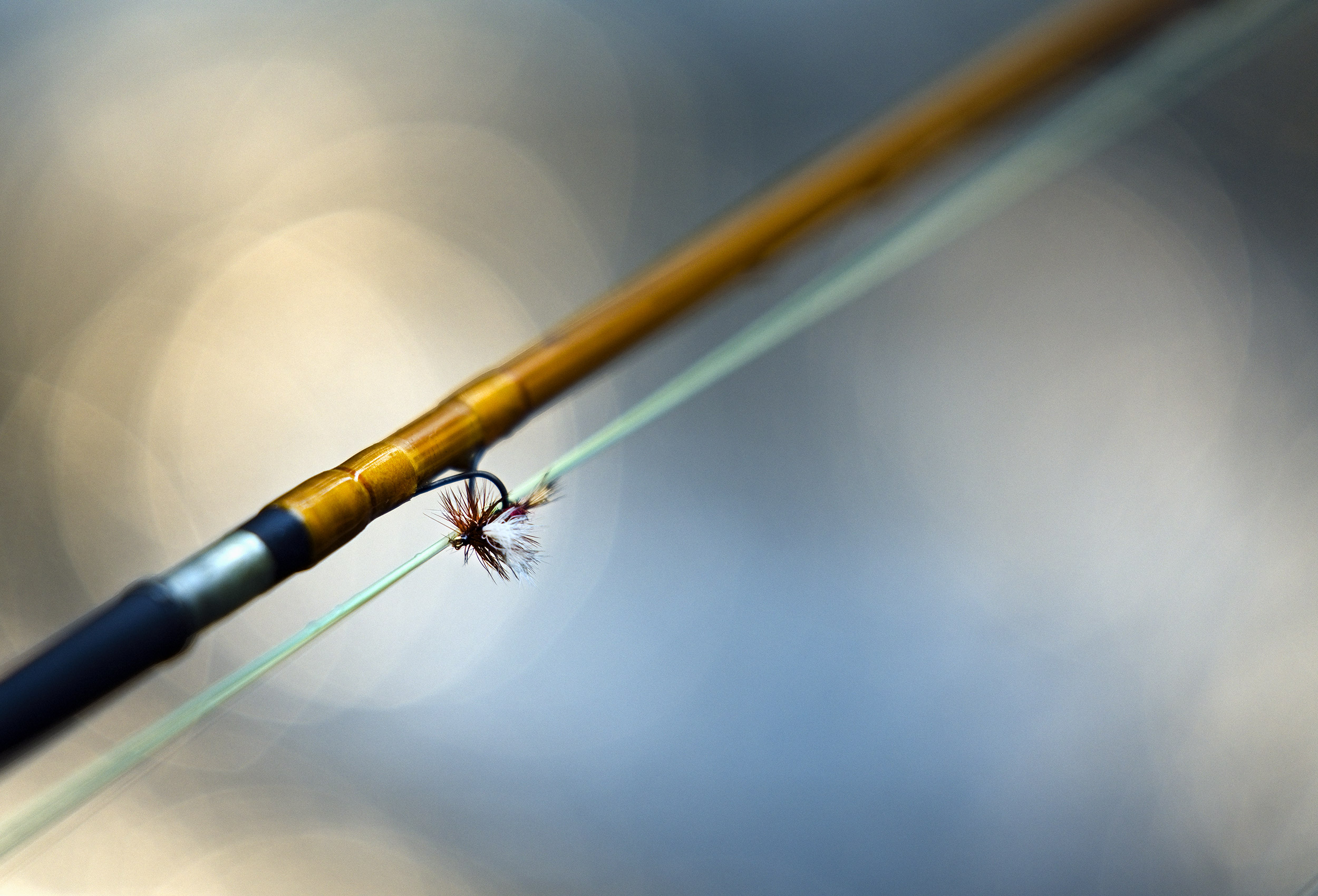 Close up image of a detail of a dry fly attached to a fly rod
