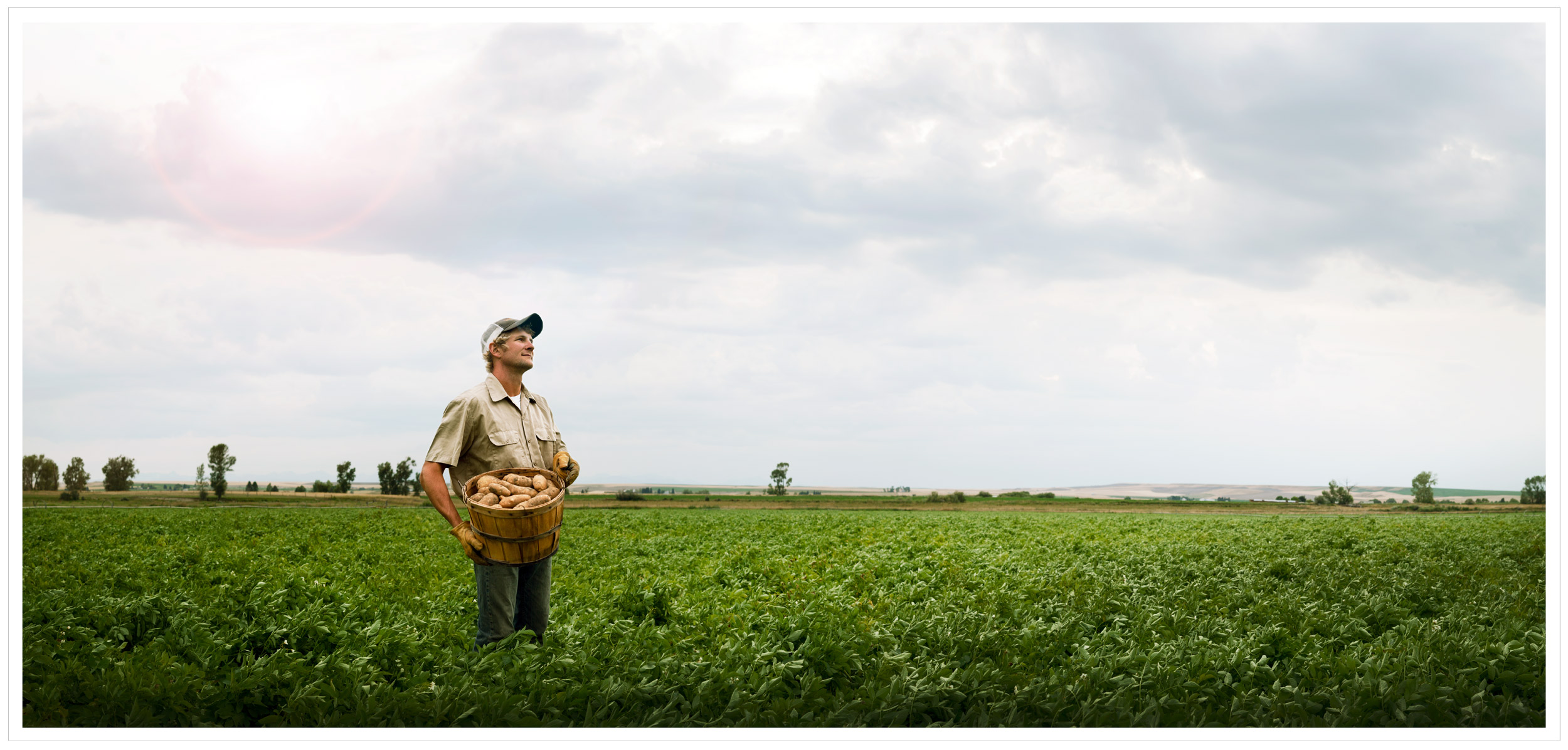 Potato farmer in a field - print campaign for BASF Germany