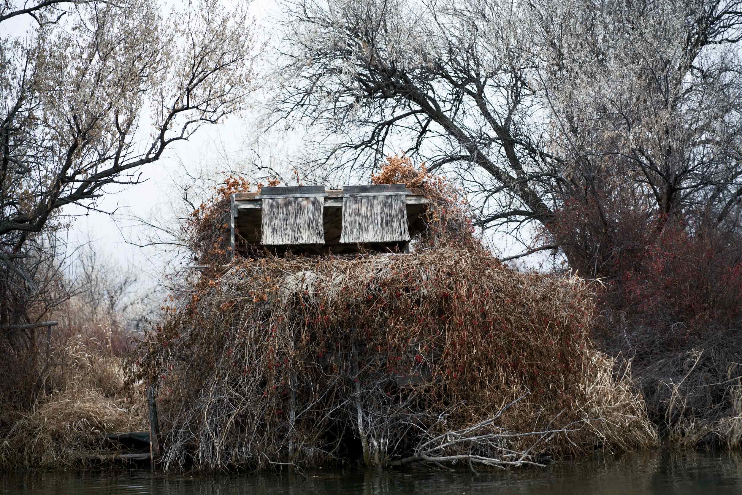 Duck Blind on the Big Horn